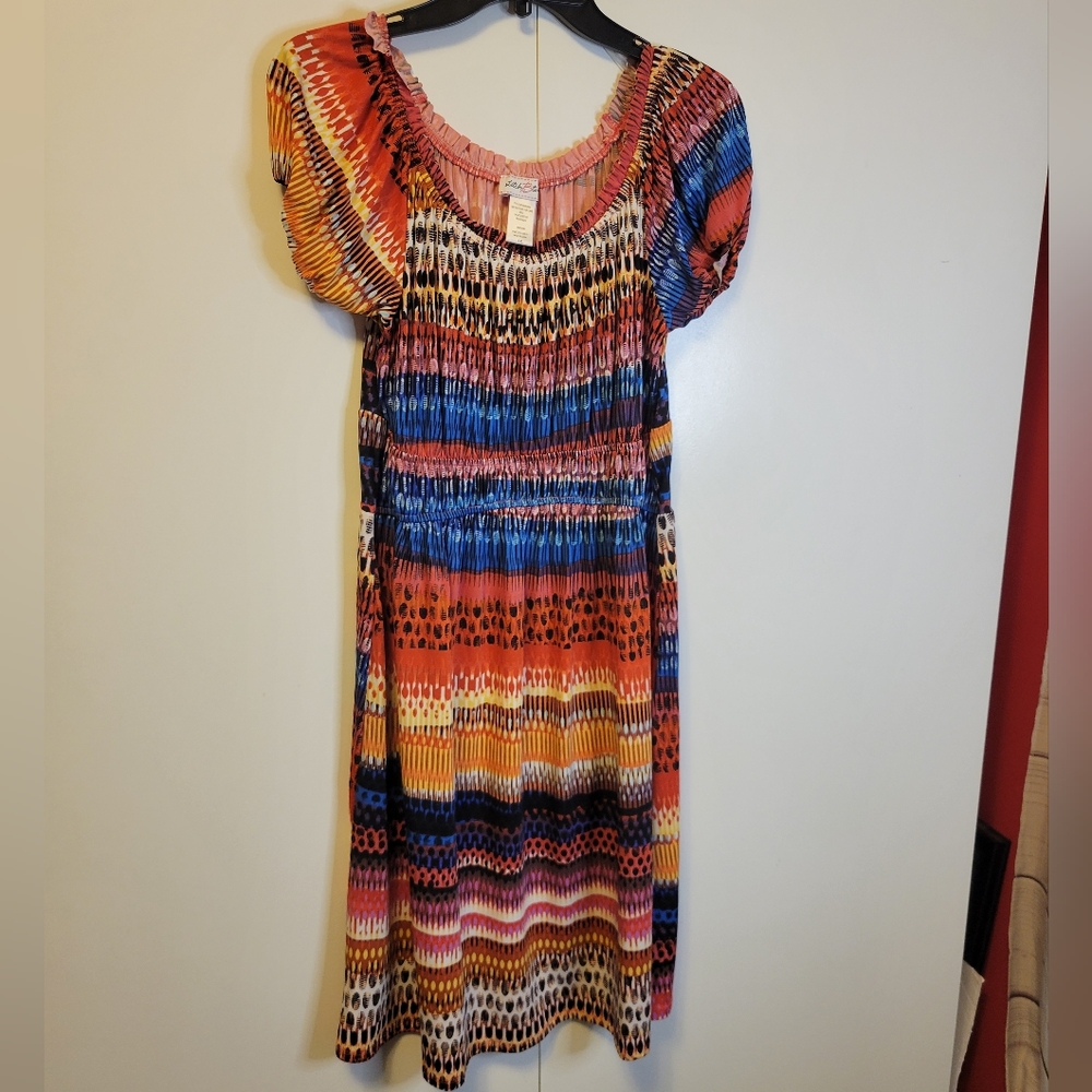 🌿 Stitch Between Multi Color Dress - 1X